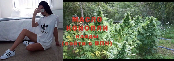 соль ск Пересвет