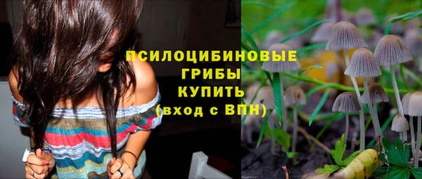 сатива Покровск