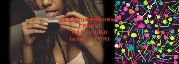 соль ск Пересвет