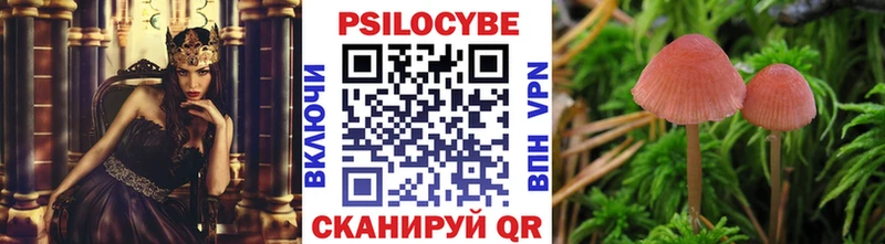 Псилоцибиновые грибы прущие грибы  Купить  Ялта 